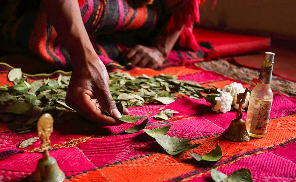 Coca leaf reading